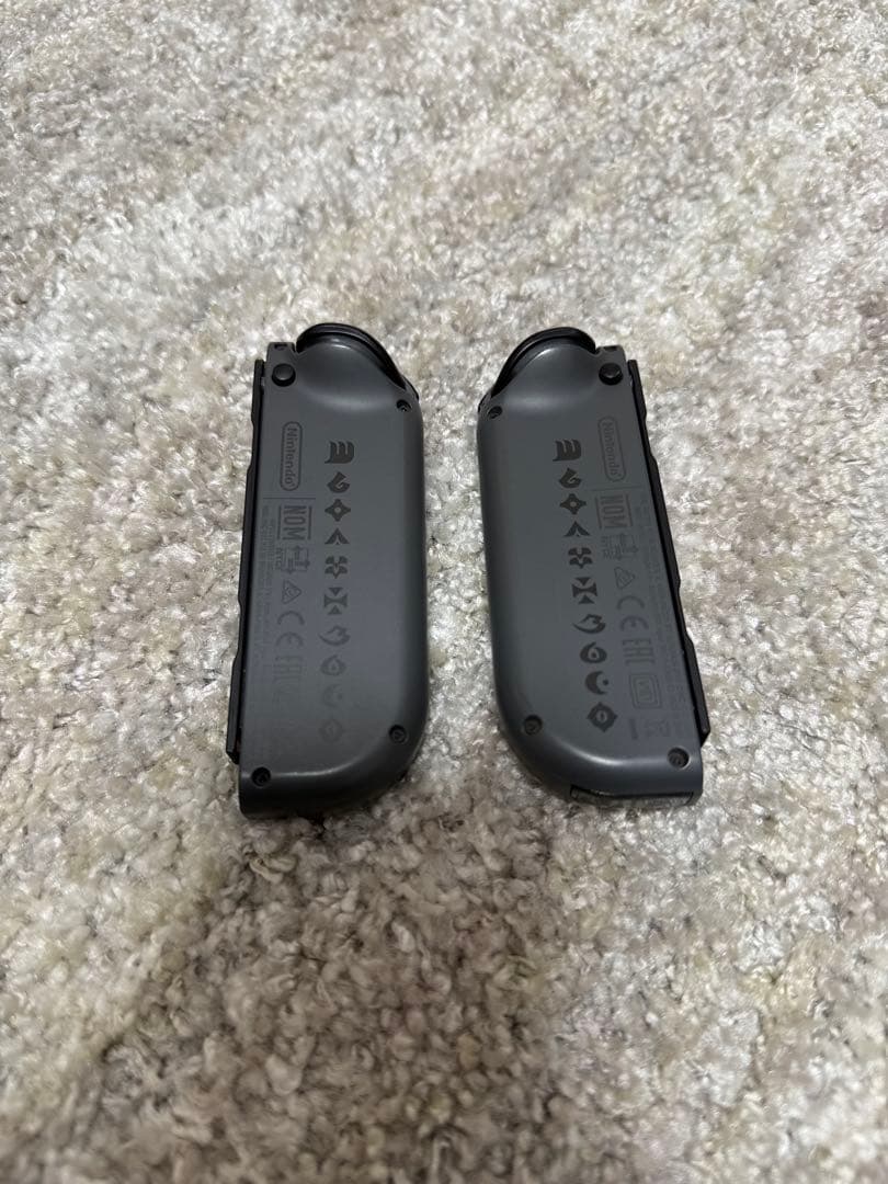 美品！Nintendo Switch モンスターハンターライズ　本体　オマケつき