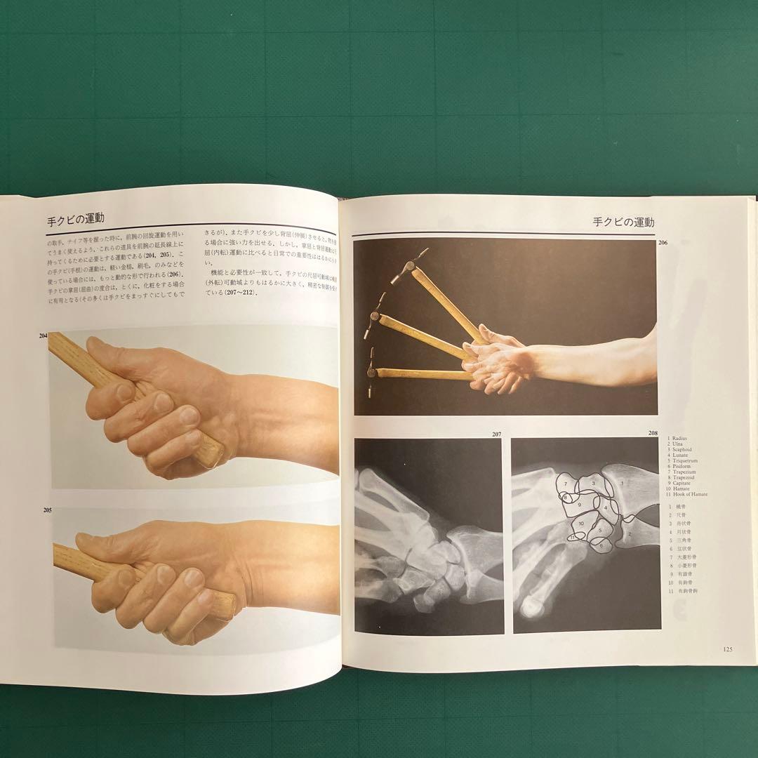 体表解剖カラーアトラス 東京医科歯科大学教授 佐藤達夫 監訳