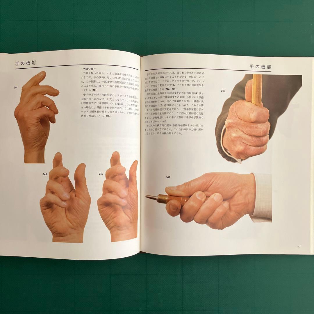 体表解剖カラーアトラス 東京医科歯科大学教授 佐藤達夫 監訳