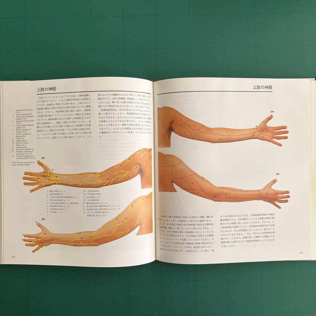 体表解剖カラーアトラス 東京医科歯科大学教授 佐藤達夫 監訳