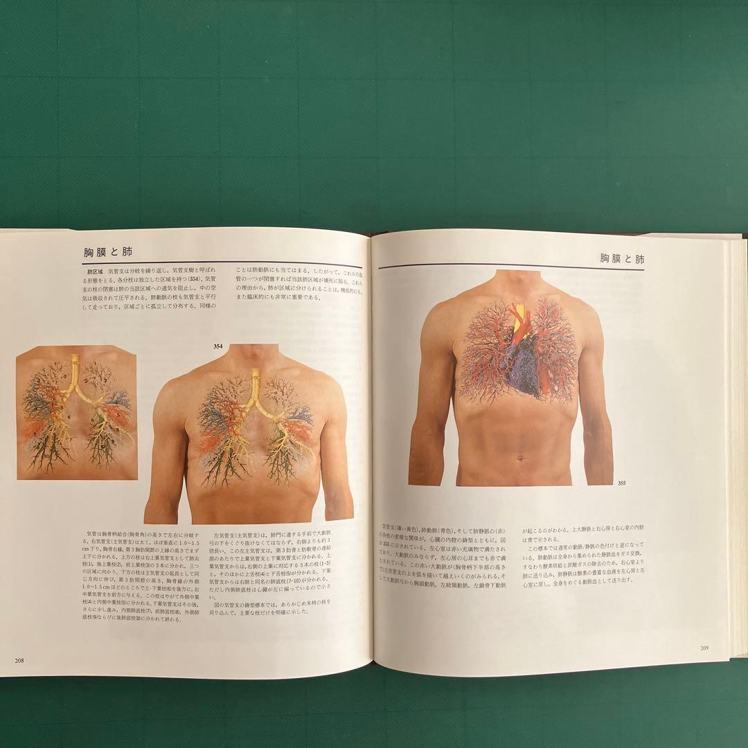 体表解剖カラーアトラス 東京医科歯科大学教授 佐藤達夫 監訳