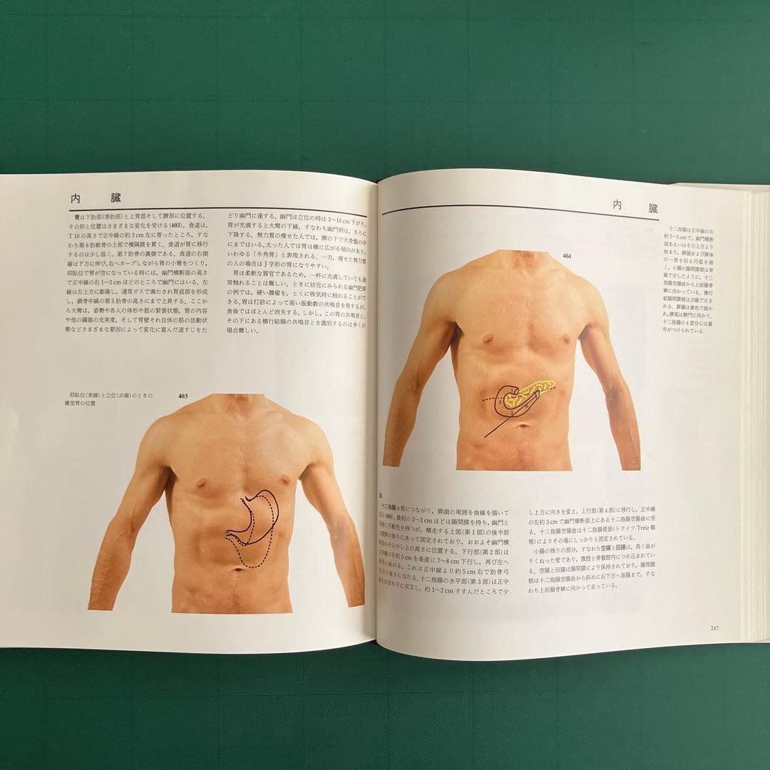 体表解剖カラーアトラス 東京医科歯科大学教授 佐藤達夫 監訳