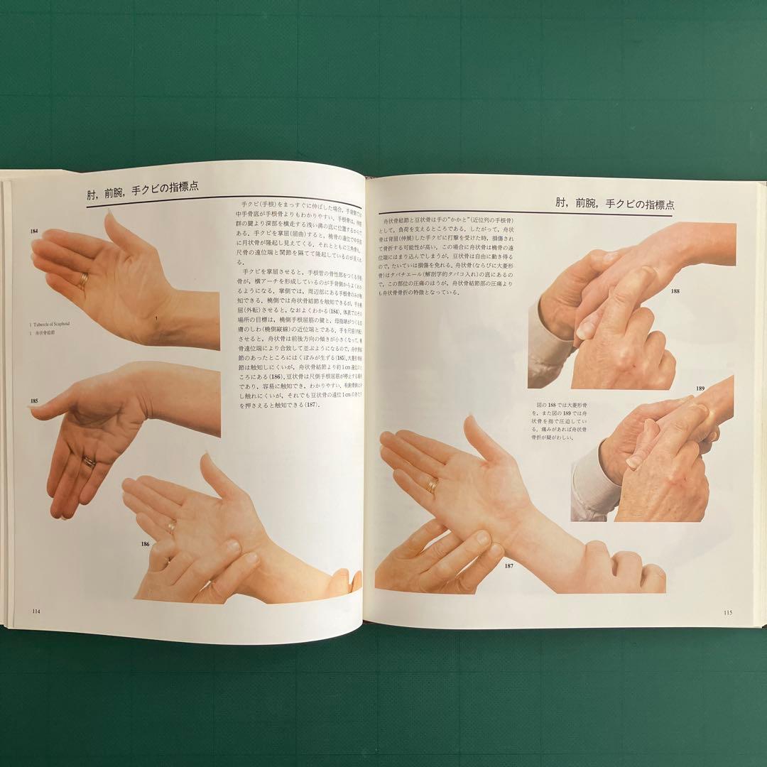 体表解剖カラーアトラス 東京医科歯科大学教授 佐藤達夫 監訳