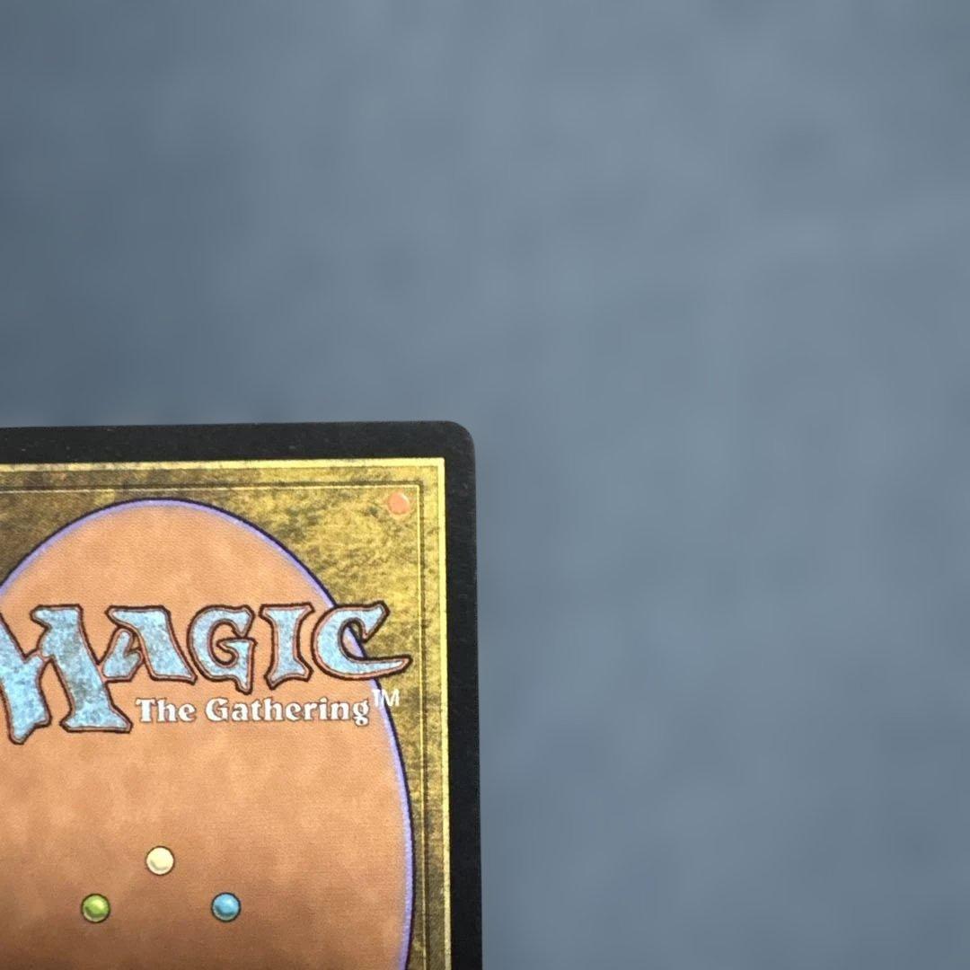 MTG サーボの網 日本語版4枚セット