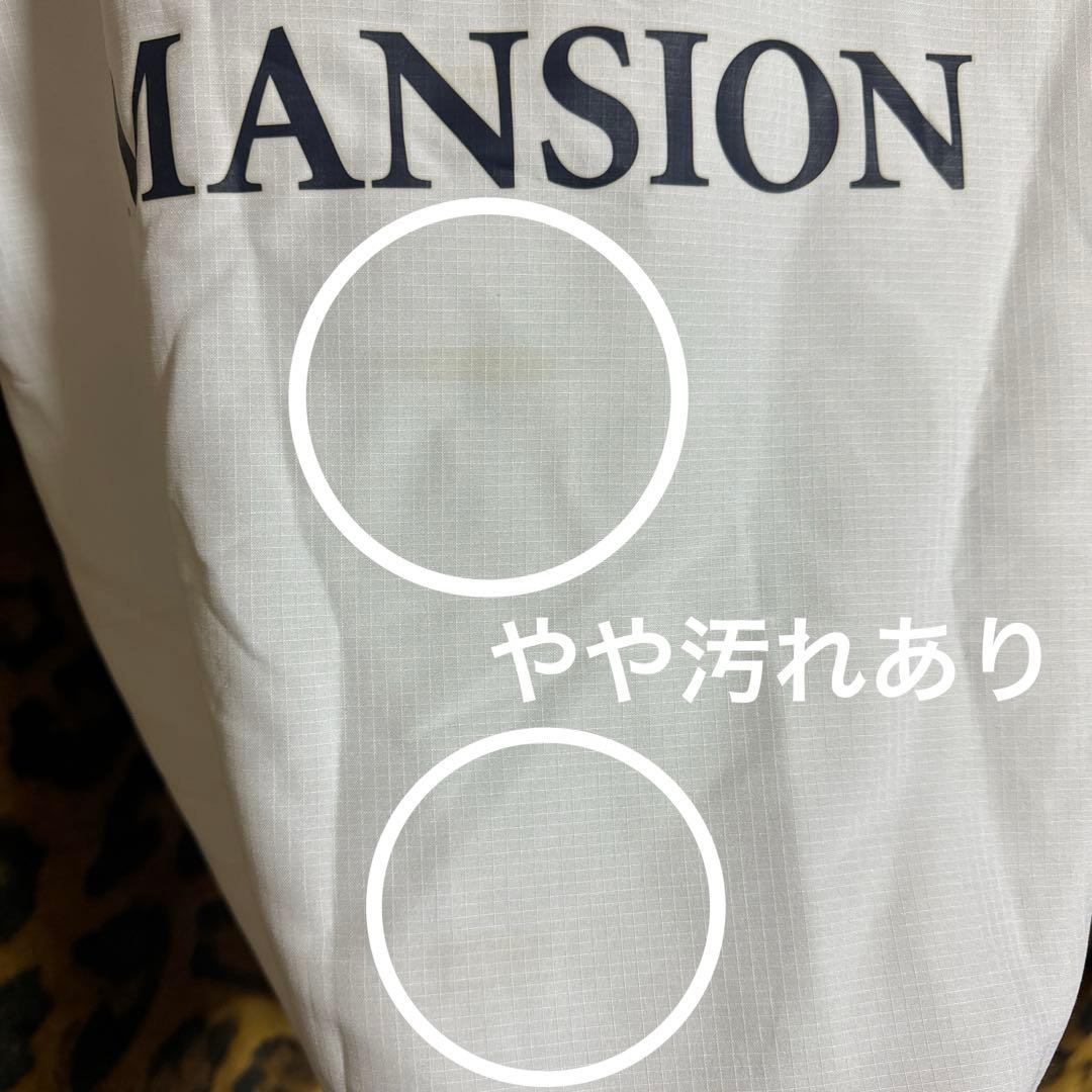 トッテナム　プレミアリーグ　イギリス　サッカー　フットボール　川崎フロンターレ