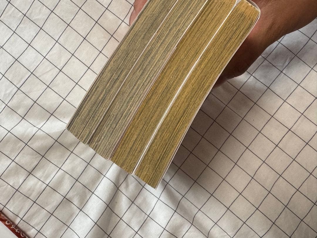 ちはやふる 41巻セット　末次由紀