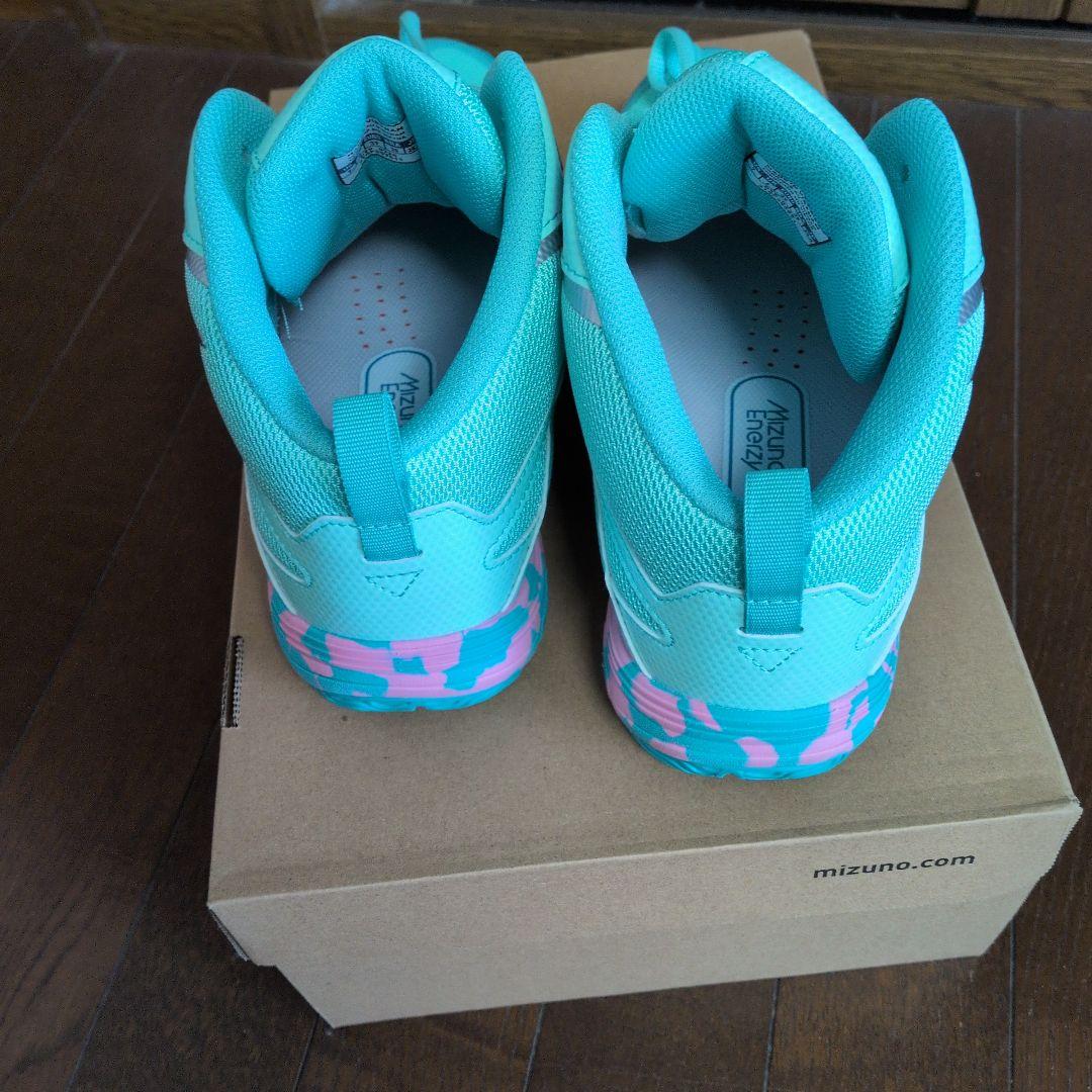 ミズノ　ウェーブダイバースLG５　25.0cm