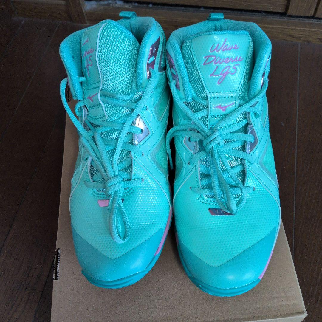 ミズノ　ウェーブダイバースLG５　25.0cm