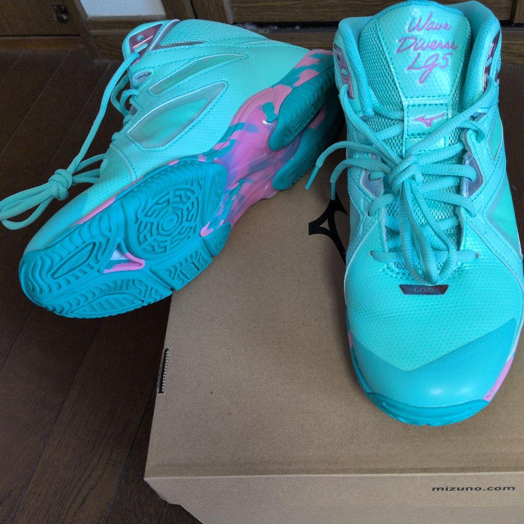 ミズノ　ウェーブダイバースLG５　25.0cm