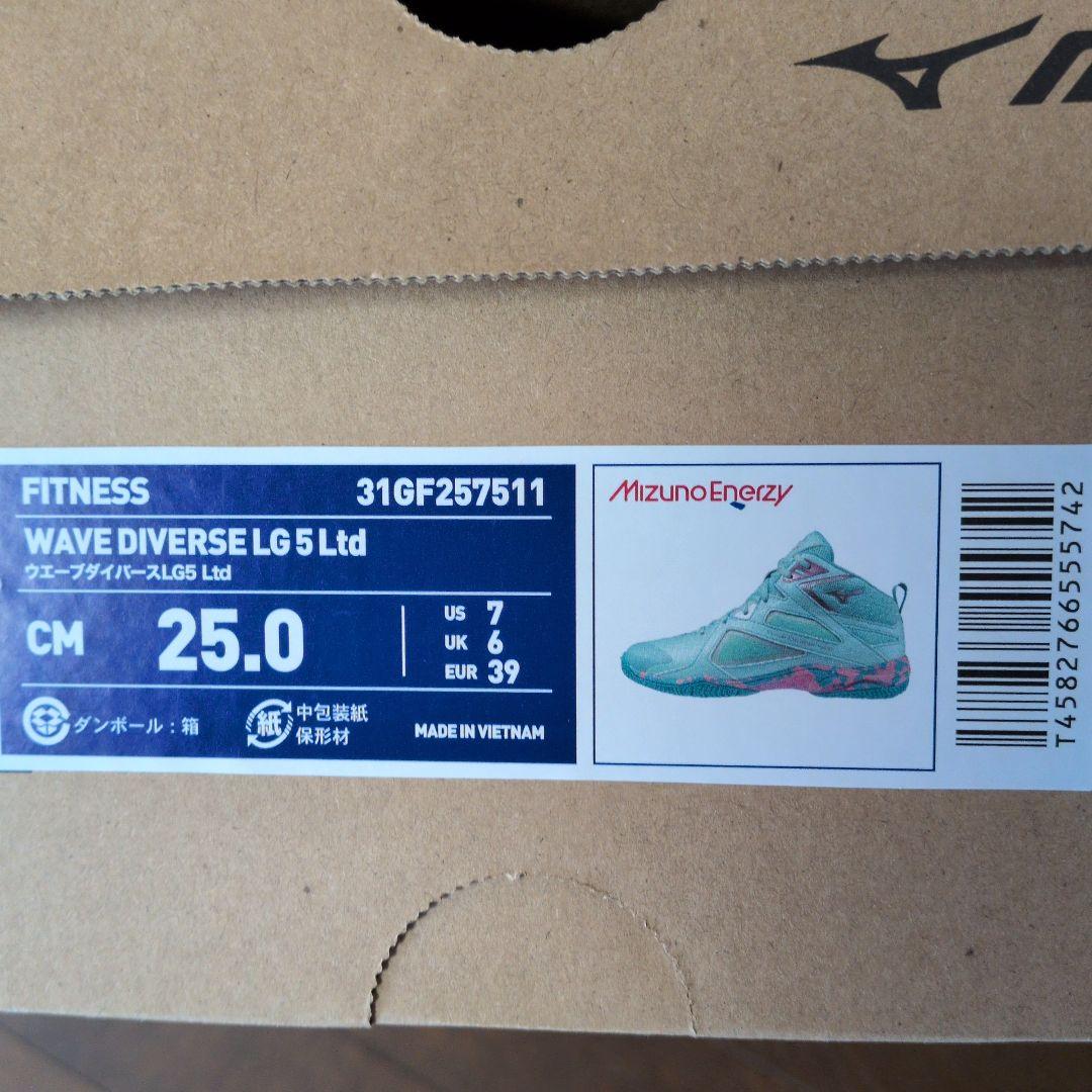 ミズノ　ウェーブダイバースLG５　25.0cm