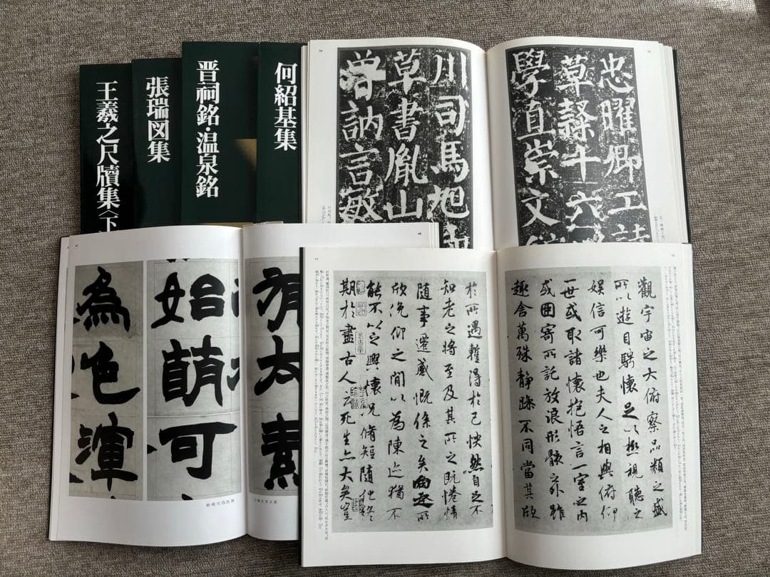 書道関連書籍　まとめて25冊 二玄社 中国法書選 書跡名品叢刊