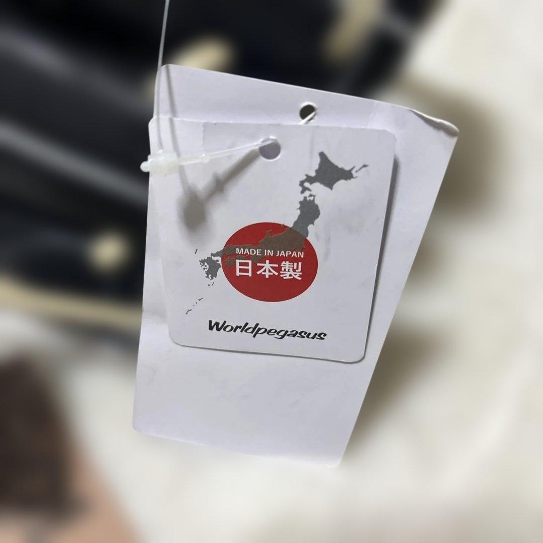 定価税込43450円！ワールドペガサス硬式用　オールラウンド　左　新品未使用袋付