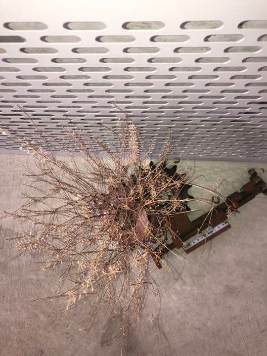 未使用　角型　パンチング　ガレージ　無骨　シャビー　インダストリアルニキ　収納