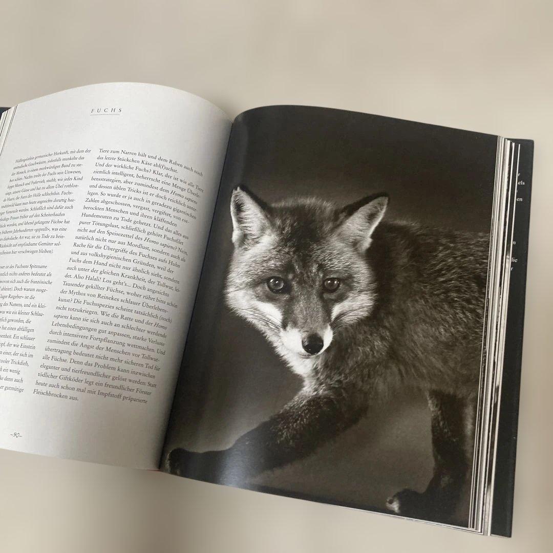 Die Seele der Tiere - 写真集