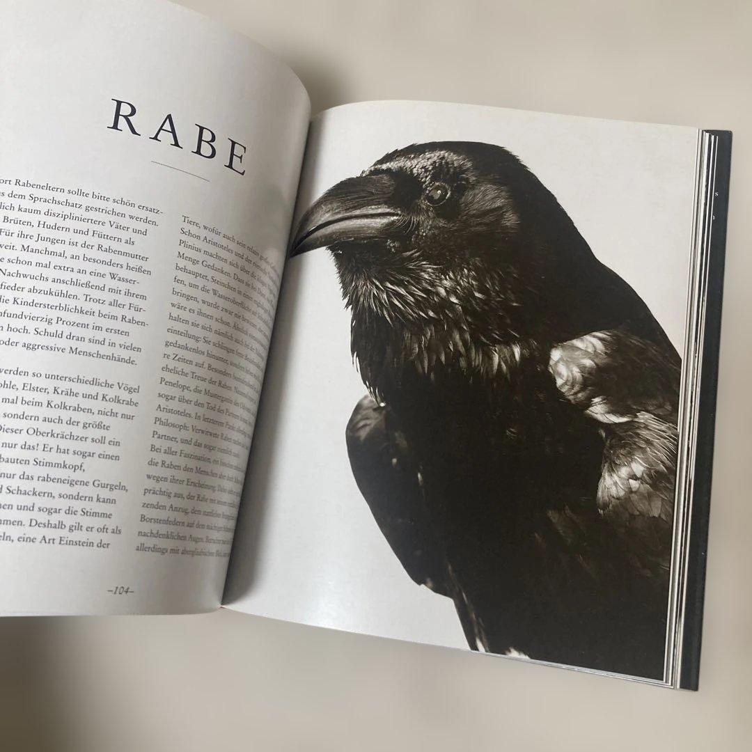 Die Seele der Tiere - 写真集