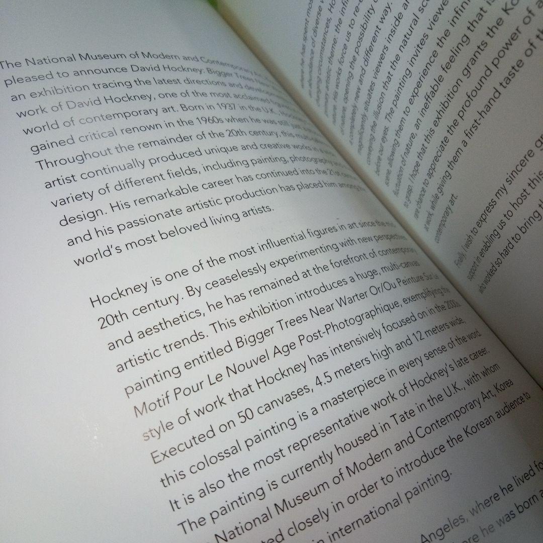 David Hockney　Bigger Trees Near Water　図録