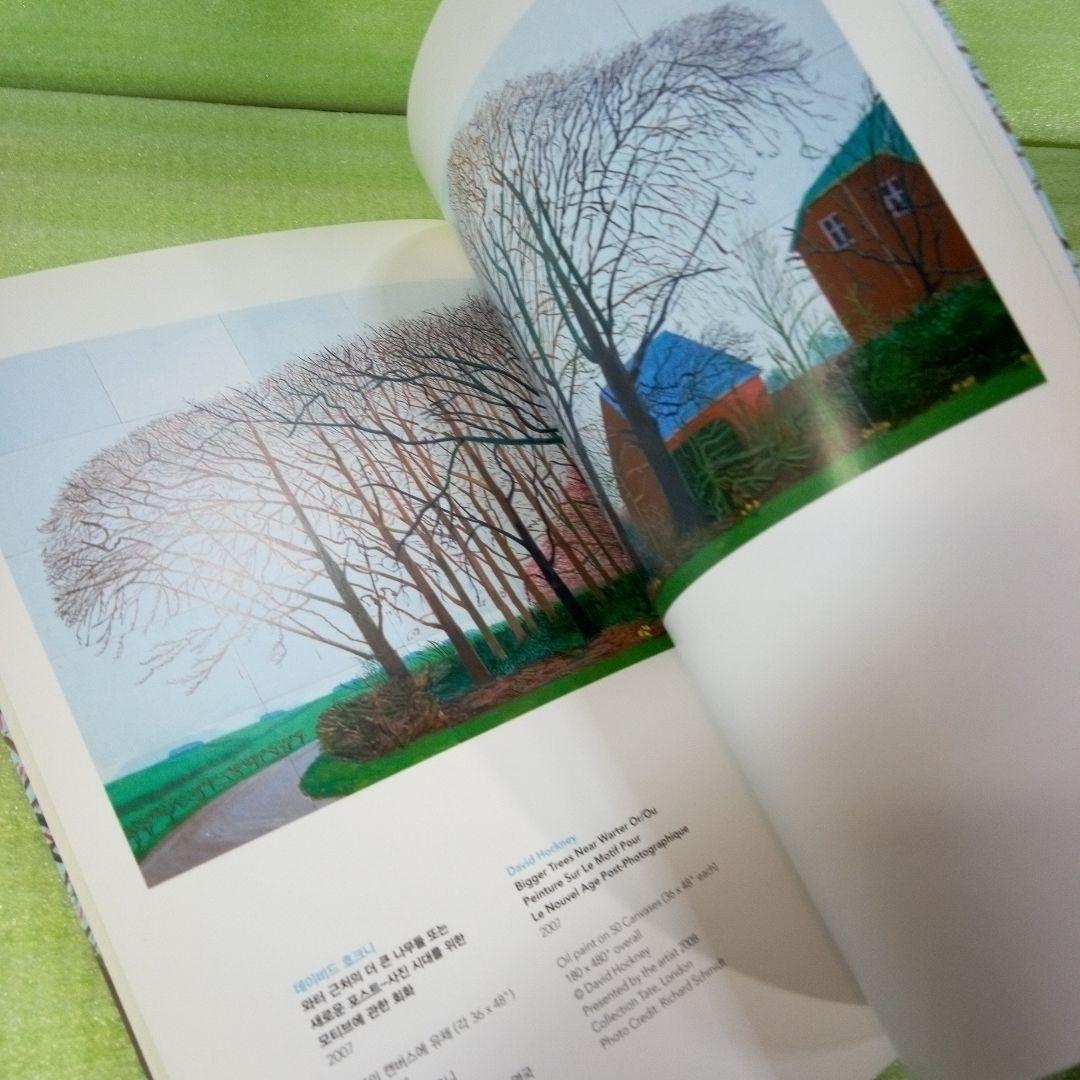 David Hockney　Bigger Trees Near Water　図録