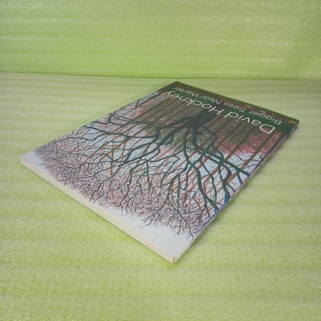 David Hockney　Bigger Trees Near Water　図録