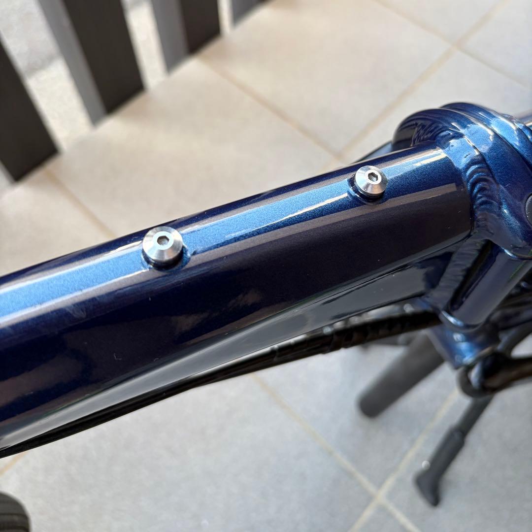 【美品】Tern Verge N8（2024年11月購入、室内保管、微カスタム）