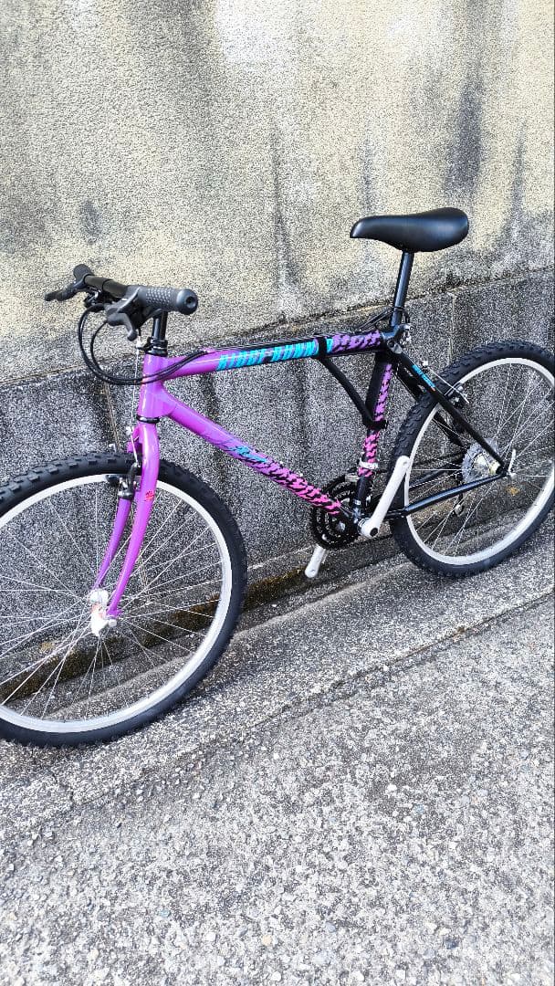 奇跡！日本で恐らく1台！新車のリッジランナー　OLD MTB