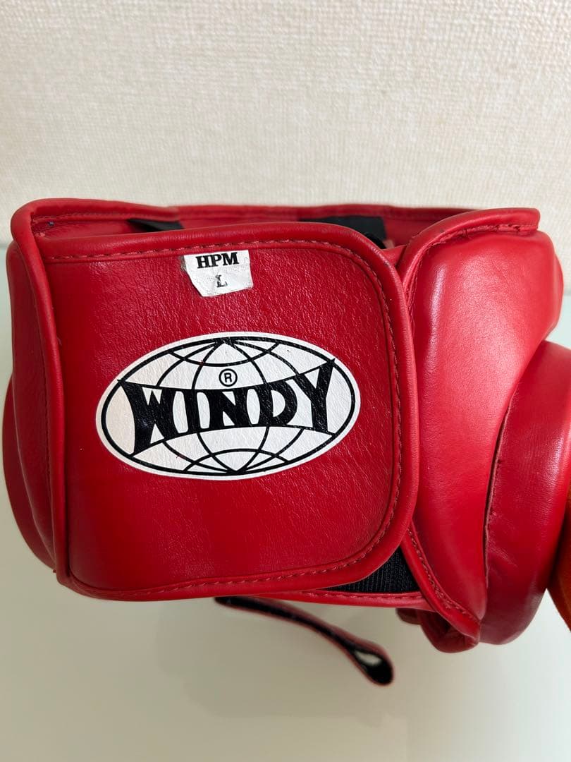 windy ヘッドギア