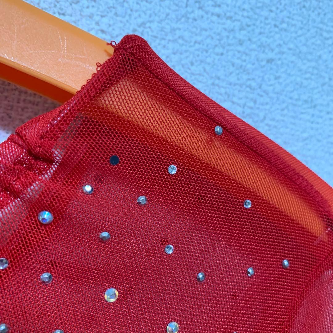 レイリーナ 社交ダンス ラテンドレス フラメンコ 練習 レッスン 発表会 華麗