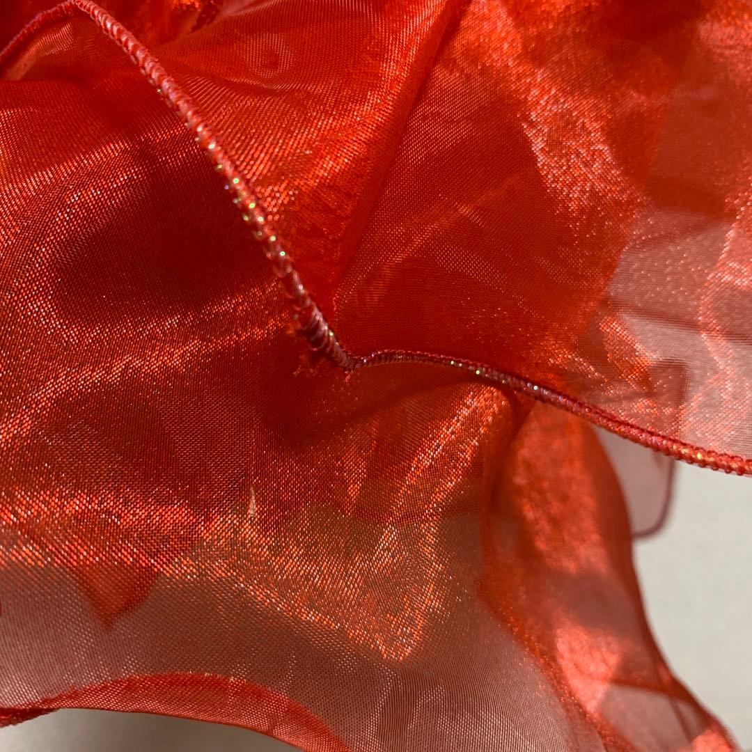 レイリーナ 社交ダンス ラテンドレス フラメンコ 練習 レッスン 発表会 華麗