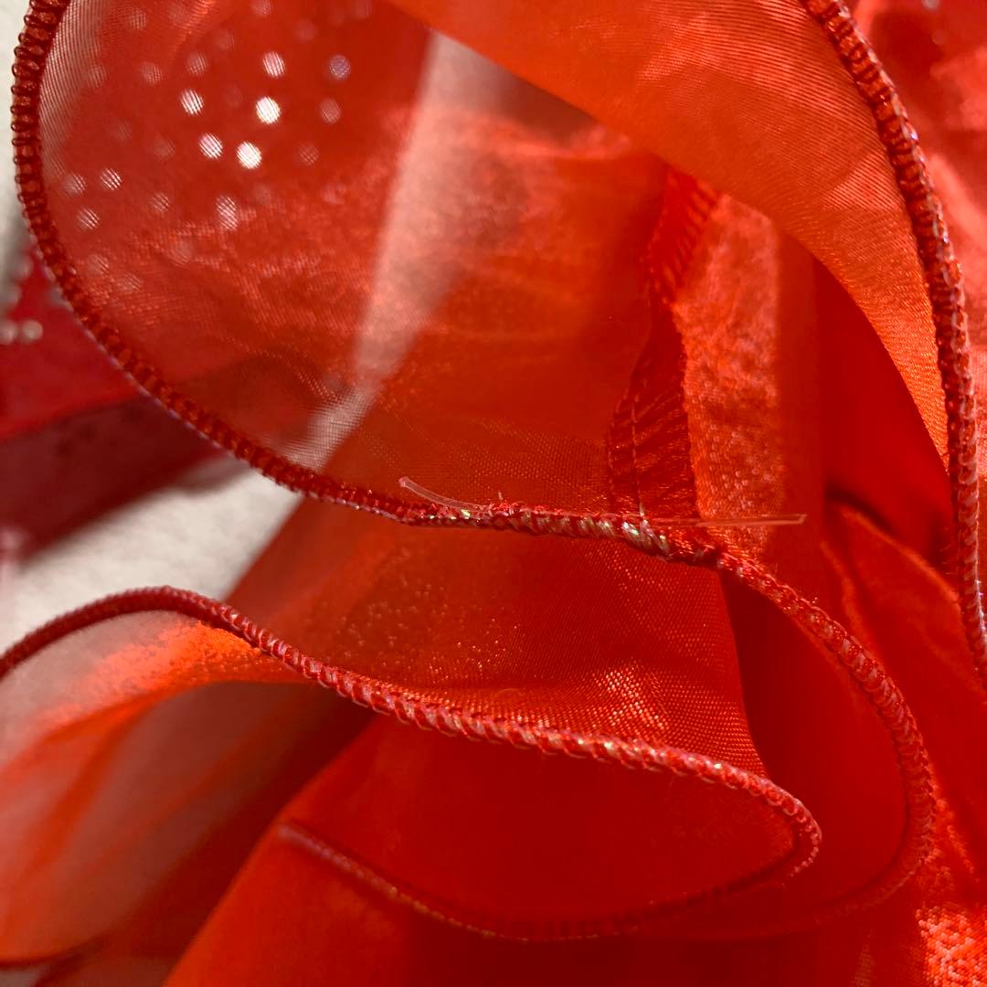 レイリーナ 社交ダンス ラテンドレス フラメンコ 練習 レッスン 発表会 華麗