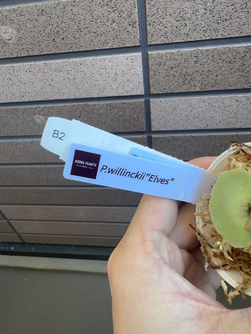 ダイチグループ