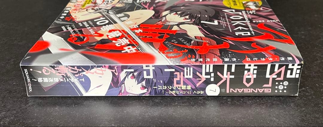 ●月刊ガンガンjoker 2014年 7月号 ●アカメが斬る! ブックカバー付き