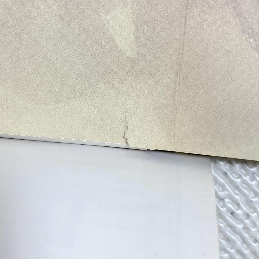 バガボンド 画集 墨 WATER 初版 井上雄彦ぴあ BRUTUS 4冊セット