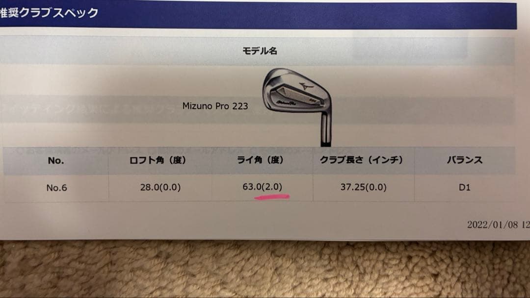 ミズノプロ223 6-P 5本 DG95 R300 メーカーカスタム