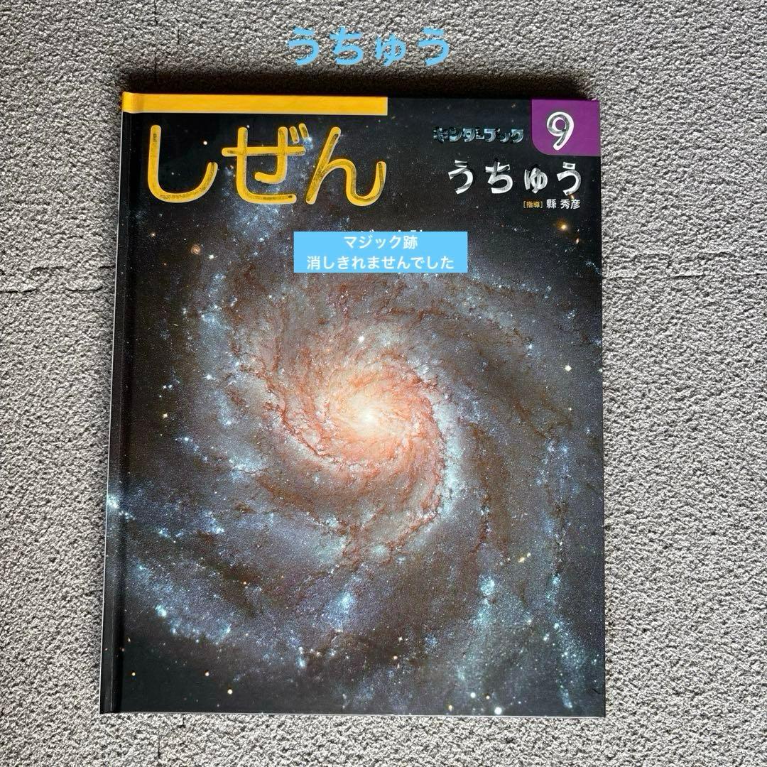 しぜん　絵本　キンダーブック　60冊　セット　まとめて　②