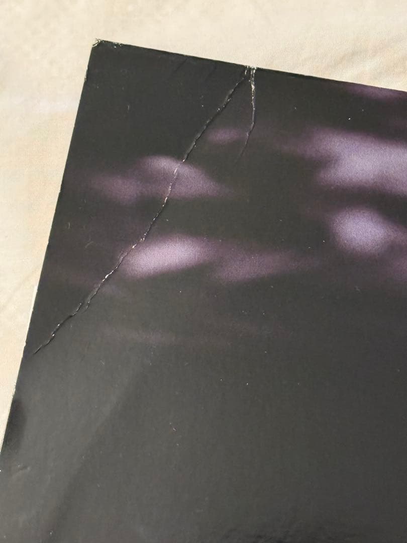 Limp Bizkit chocolate starfish USオリジナル盤