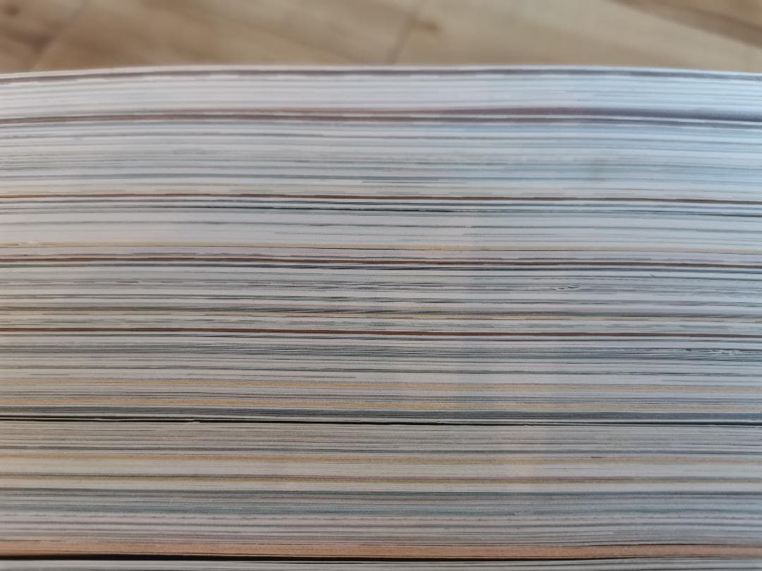 雑誌BIRD☆全8号セット