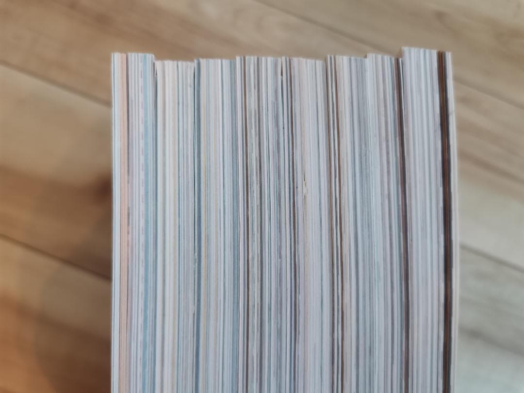 雑誌BIRD☆全8号セット