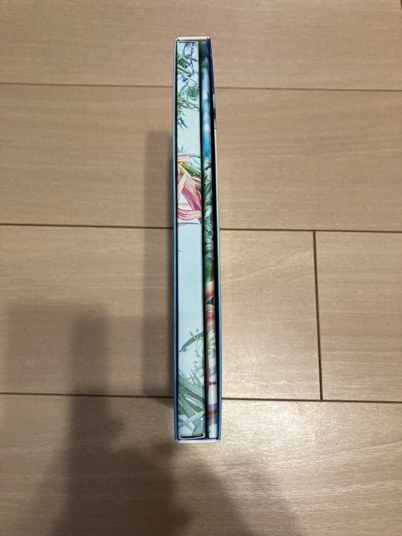 チ・チャンウク 2ndシングル The Wind Of Spring