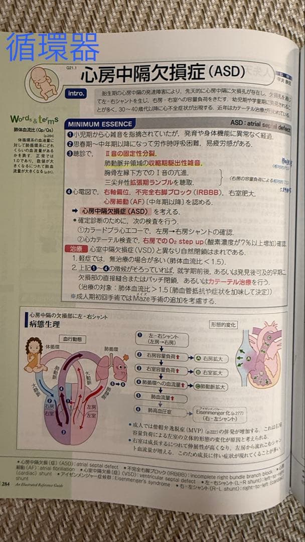 病気がみえる 12冊セット（免疫・感染症、腎泌尿器、耳鼻咽喉科は除く）