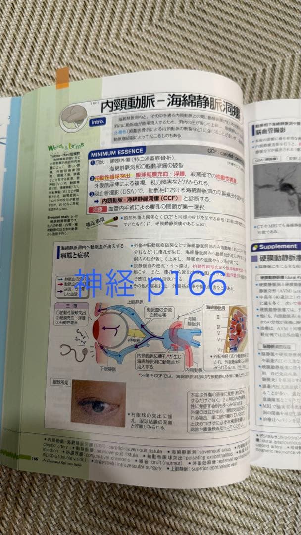 病気がみえる 12冊セット（免疫・感染症、腎泌尿器、耳鼻咽喉科は除く）