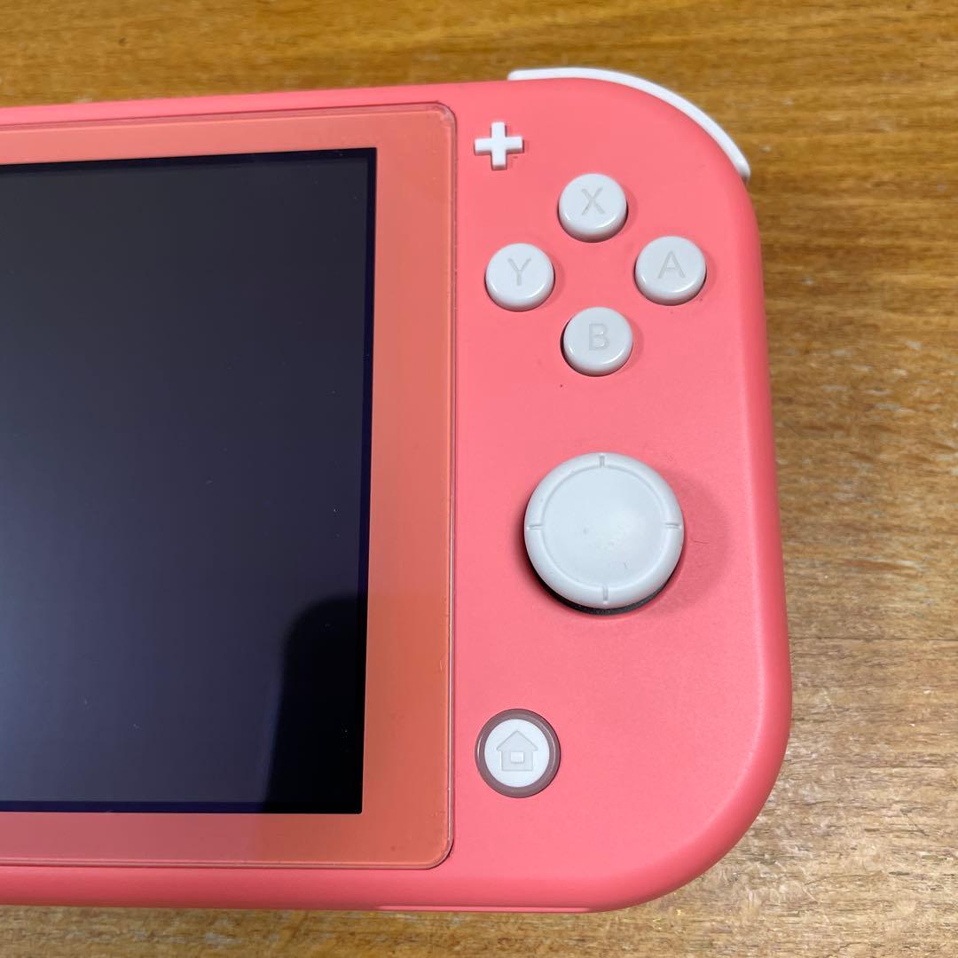 Nintendo switch Lite 動作正常　ソフトケース付