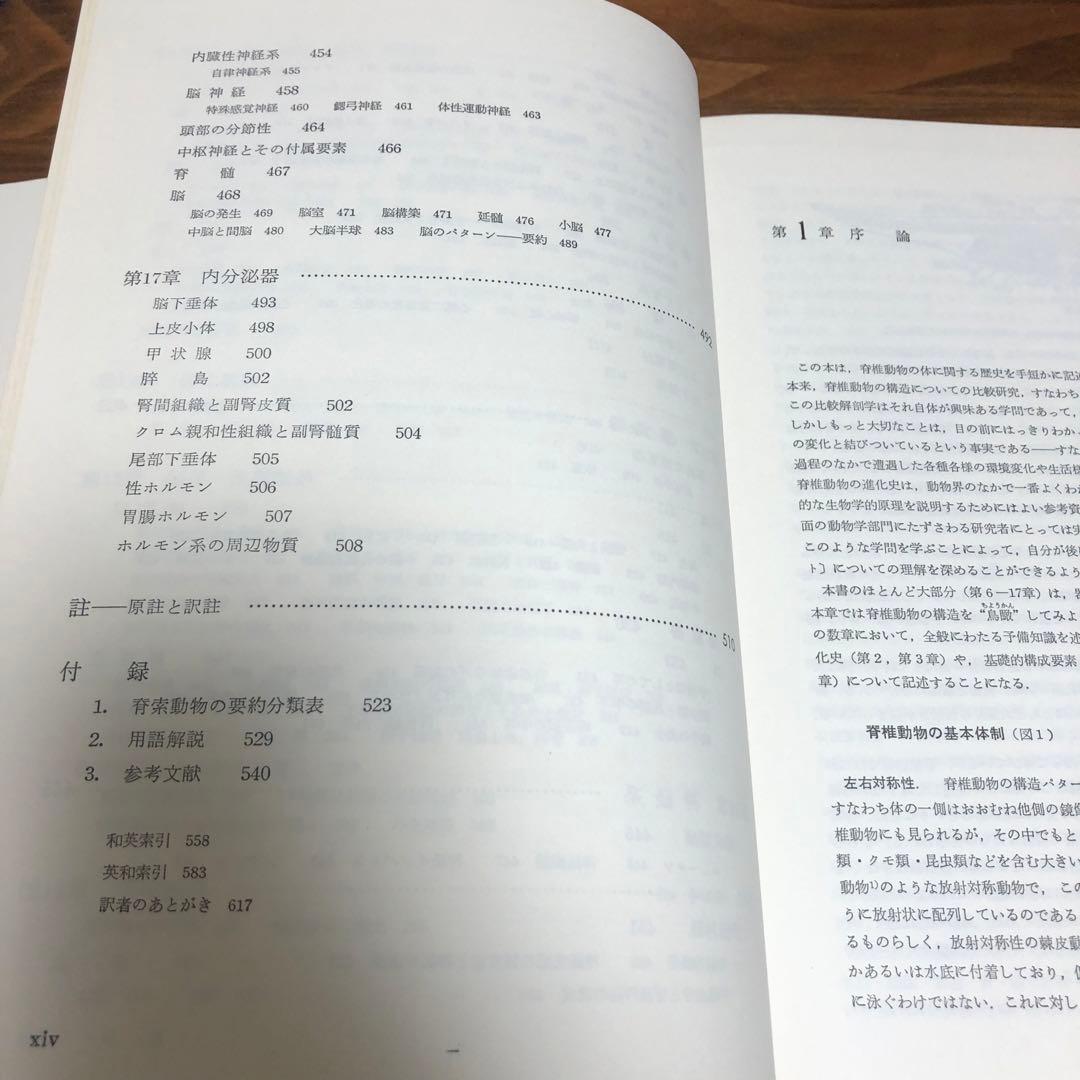 脊椎動物のからだ その比較解剖学 第5版 第4刷 A.S.ローマー 平光れい司