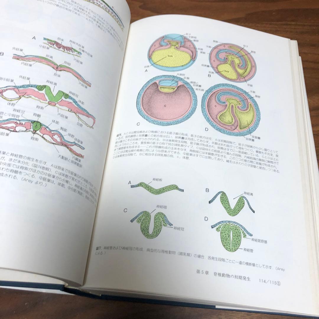 脊椎動物のからだ その比較解剖学 第5版 第4刷 A.S.ローマー 平光れい司