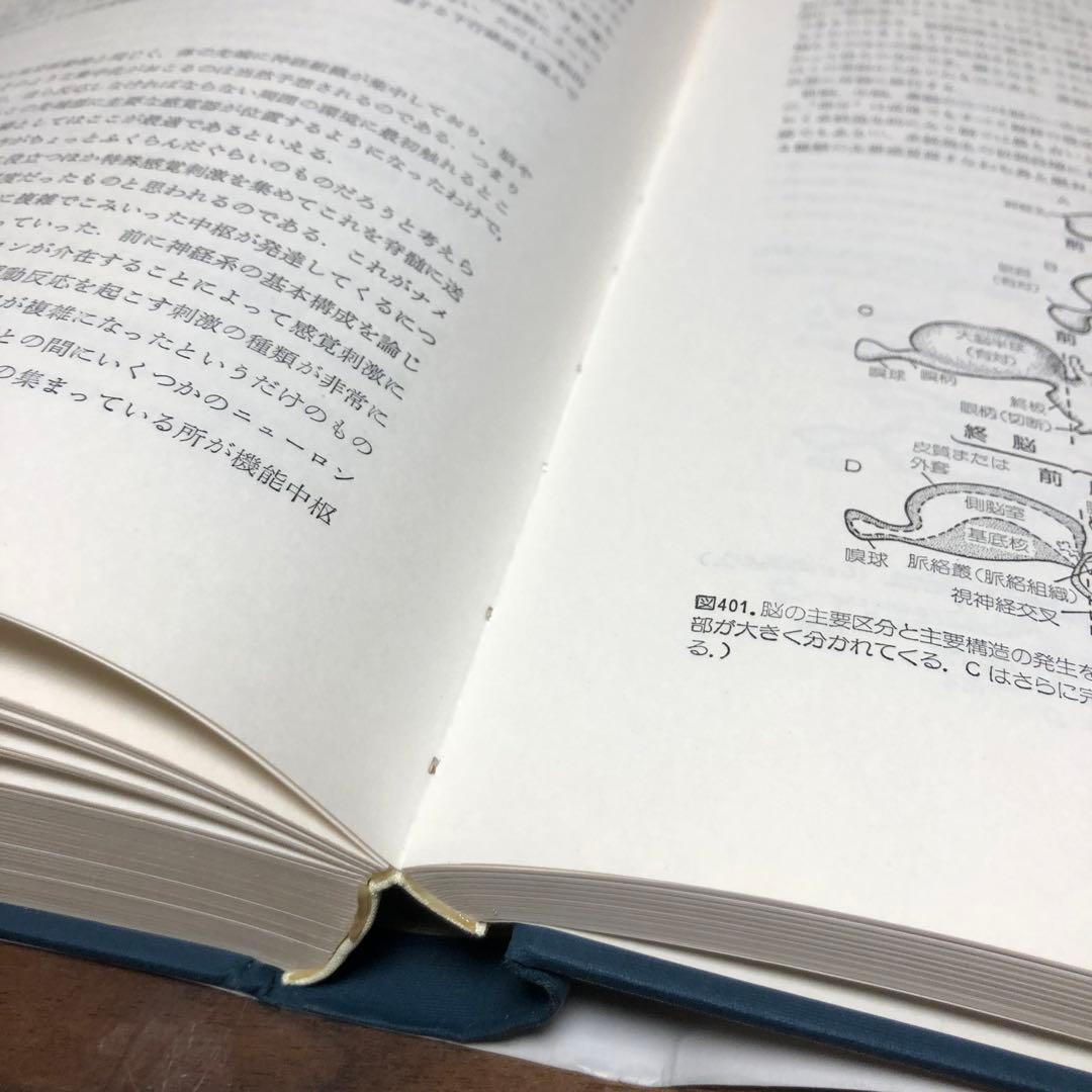 脊椎動物のからだ その比較解剖学 第5版 第4刷 A.S.ローマー 平光れい司