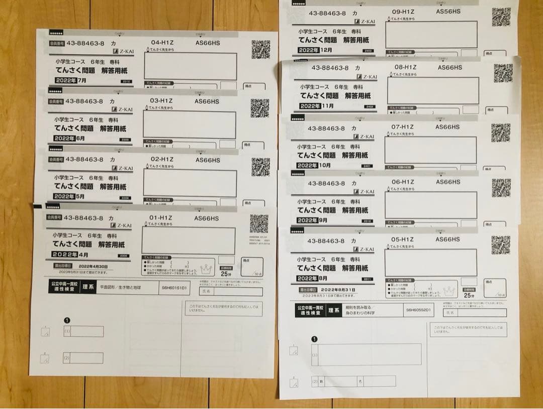 Z会 エブリスタディ 小6 公立中高一貫適性検査&作文　他