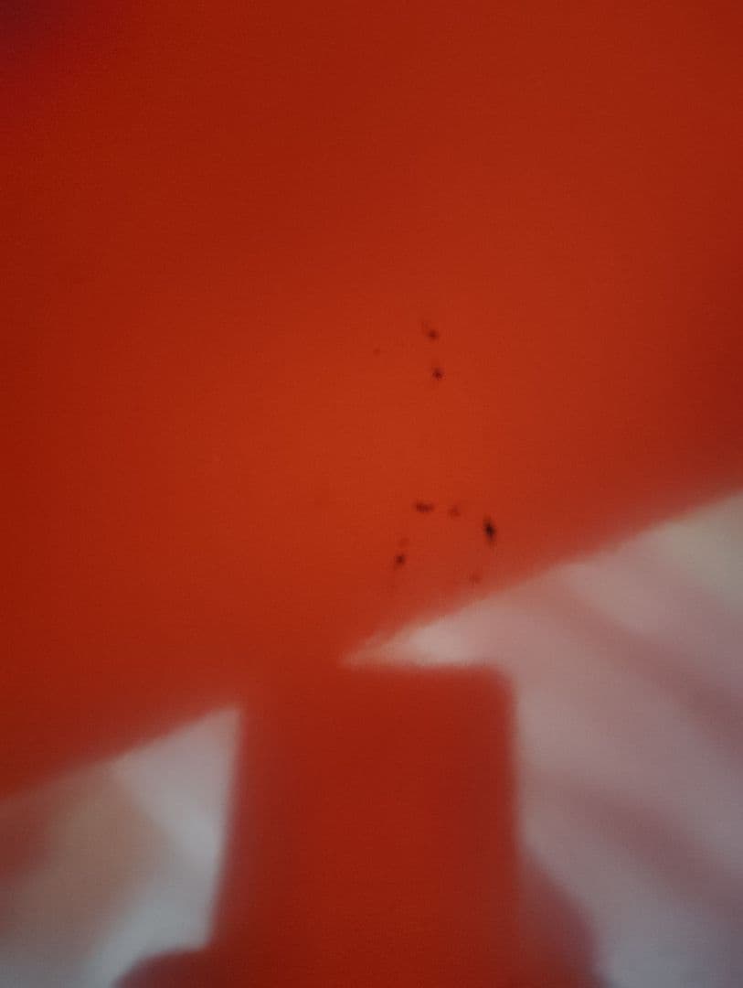 昭和レトロ　収納ケース　収納　引き出し　アイアン　ビビッド　レトロポップ