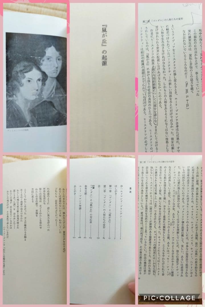 ★　希少価値絶版本文学的観点から読み解くエミリ・ブロンテと嵐が丘　大学文学研究