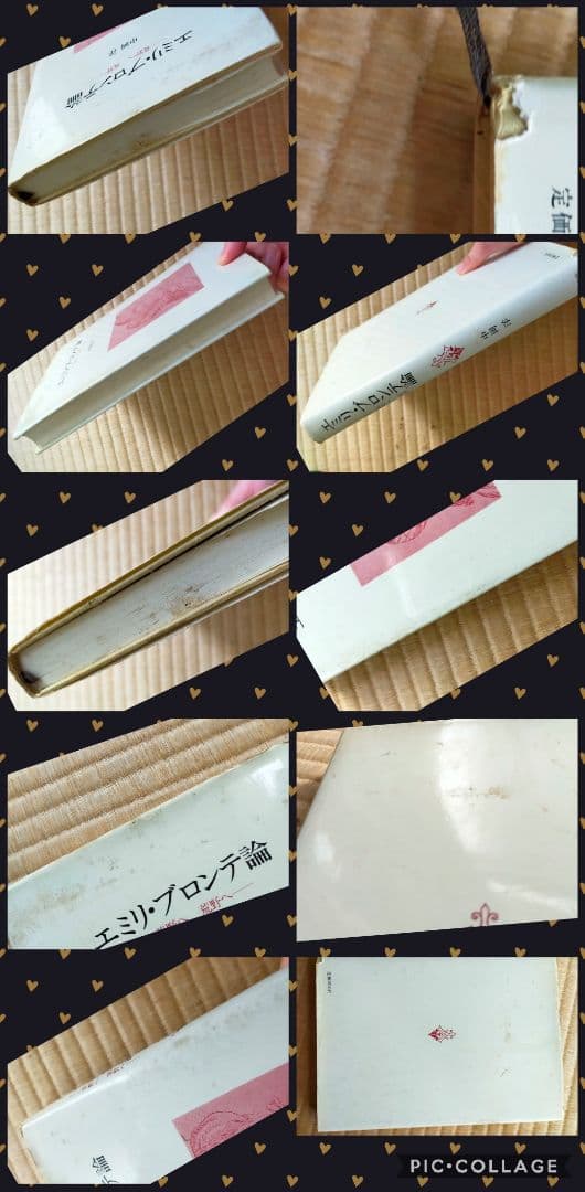 ★　希少価値絶版本文学的観点から読み解くエミリ・ブロンテと嵐が丘　大学文学研究