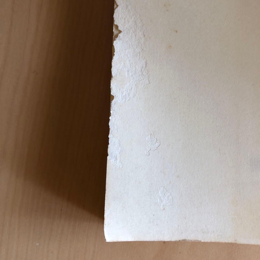 患者運動　長　宏