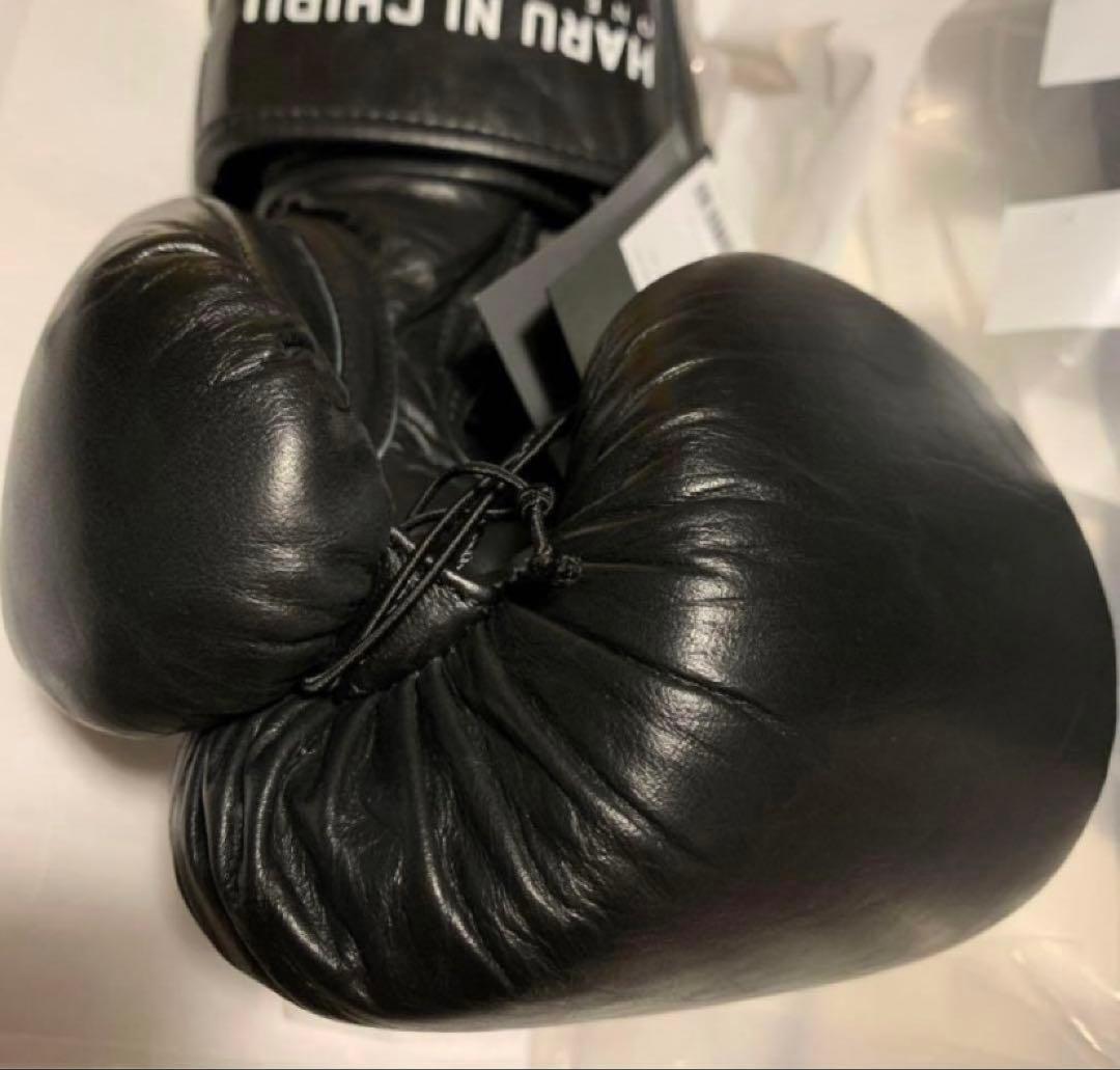 春に散る X WDS X EVERLAST BOXING GLOVE 10oz