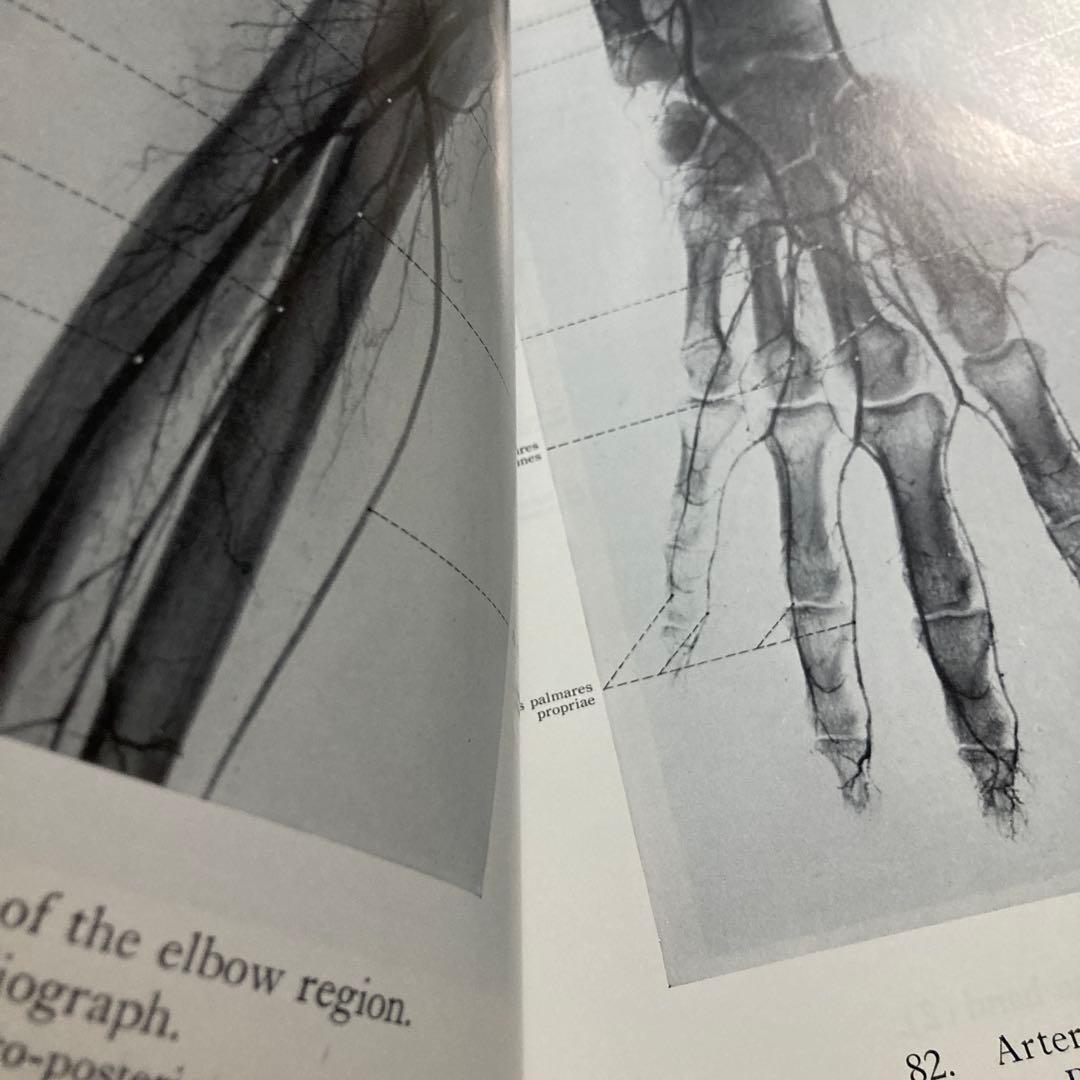 人体局所解剖図譜　セット4冊